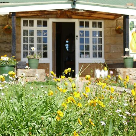 Peerboom Guesthouse Fouriesburg Extérieur photo