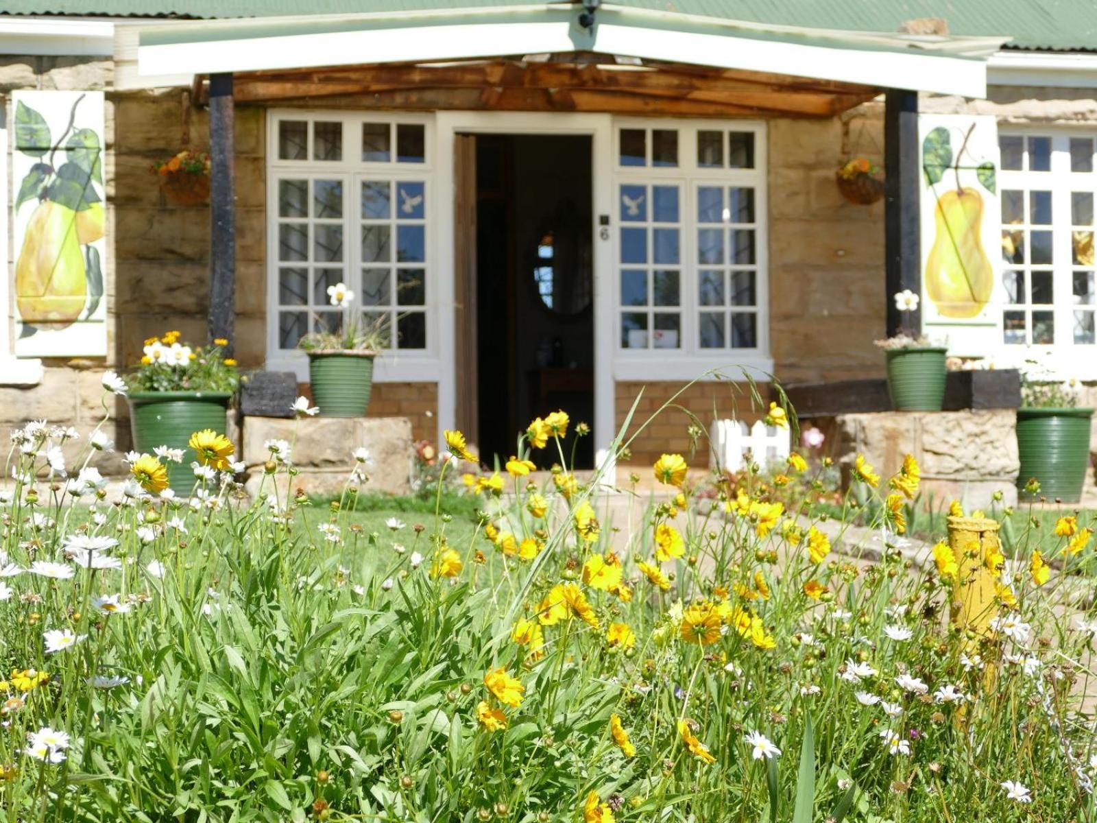 Peerboom Guesthouse Fouriesburg Extérieur photo
